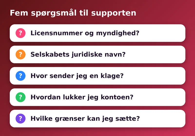 Fem spørgsmål, du kan stille supporten om licensen